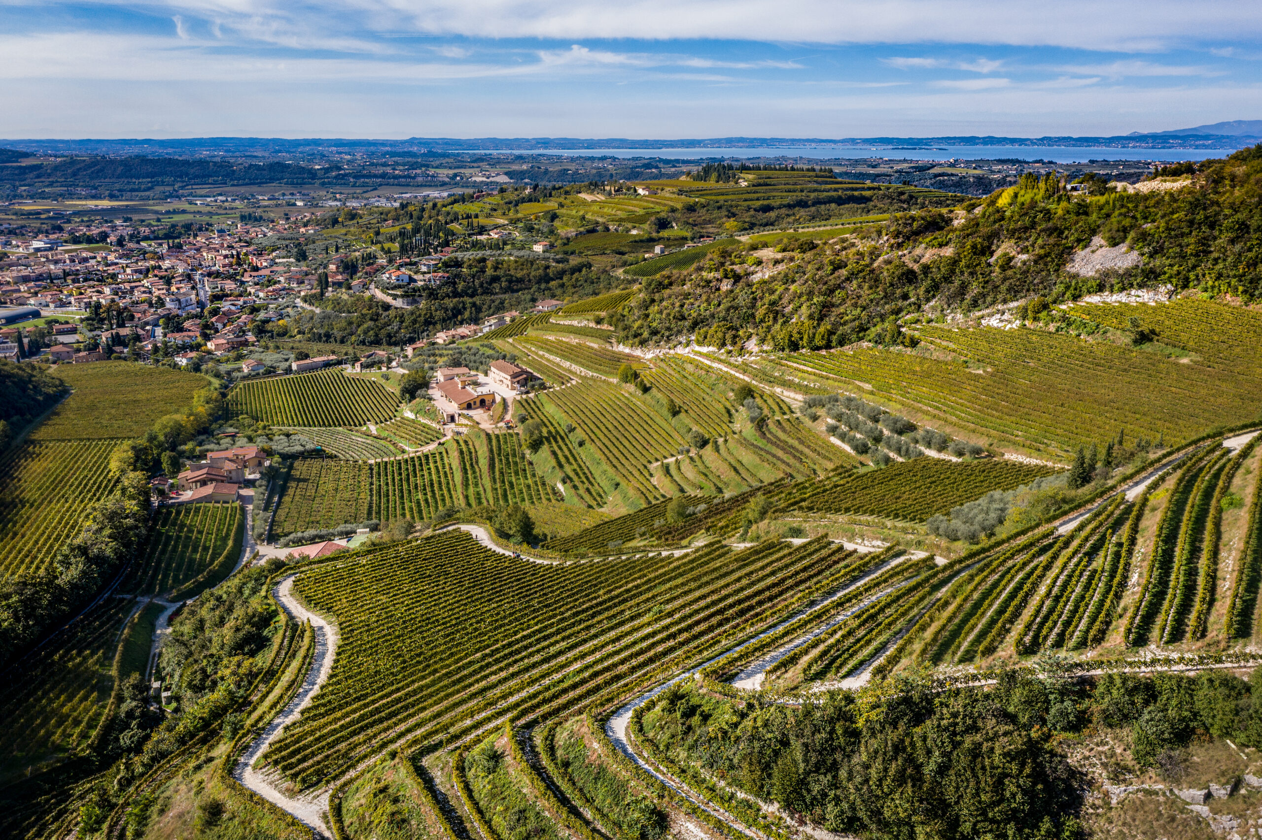 Valpolicella Classico